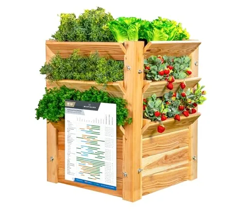 WESTMANN Premium Hochbeet aus Lärchenholz mit Aussaatkalender | Natur | 66x66x73 cm | Kräuterbeet | Holzhochbeet zum Bepflanzen von Gemüse & Kräutern – Bild 10