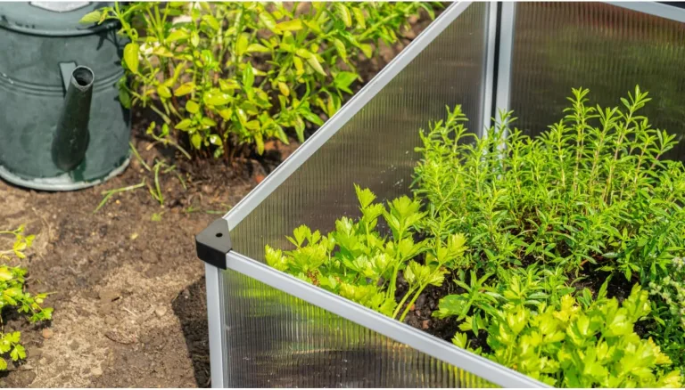 Vitavia Frühbeet Levana 2", mit Aufstelldach, grau | Wetterfest aus Zincalume® | Ergonomisch & Rückenschonend | Schutz vor Schnecken & Unkraut | Perfekt für Gemüse & Blumen – Bild 5