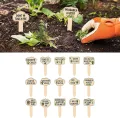 Pflanzenmarker,Gartenetiketten Für Pflanzen - 15 Stück Holzstecker Mit Witzigen Sprüchen Für Blumentöpfe Pflanzenkennzeichnung Gewächshaus & Garten Indoor - Thumbnail 3