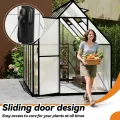 Froadp Gewächshaus aus Aluminium mit Fundament 280x180x195cm Gartengewächshäuser 4mm PC-Hohlkammerplatten Wetterfest Treibhaus, Tomatenhaus mit Fenstern Treibhaus für Garten & Aufzucht - Thumbnail 5