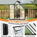 Froadp Gewächshaus aus Aluminium mit Fundament 280x180x195cm Gartengewächshäuser 4mm PC-Hohlkammerplatten Wetterfest Treibhaus, Tomatenhaus mit Fenstern Treibhaus für Garten & Aufzucht - Thumbnail 7