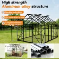 ACXIN Gewächshaus für Garten, Aluminium Treibhaus, Tomatenhaus & Pflanzenhaus mit Fundament, Dachfenster, PC-Platten, Bodenanker, Eisenverstärkung, 380x250x205cm Frühbeet, Wetterfest & UV-beständig - Thumbnail 3