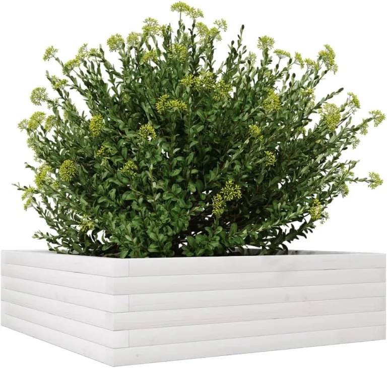 Gecheer Pflanzkübel Weiß Robustes Massivholz Kiefer großzügiger Platz für Pflanzen Gemüse Kräuter und Blumen ideal für Garten Balkon Terrasse – Bild 5