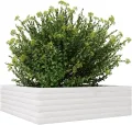 Gecheer Pflanzkübel Weiß Robustes Massivholz Kiefer großzügiger Platz für Pflanzen Gemüse Kräuter und Blumen ideal für Garten Balkon Terrasse - Thumbnail 5