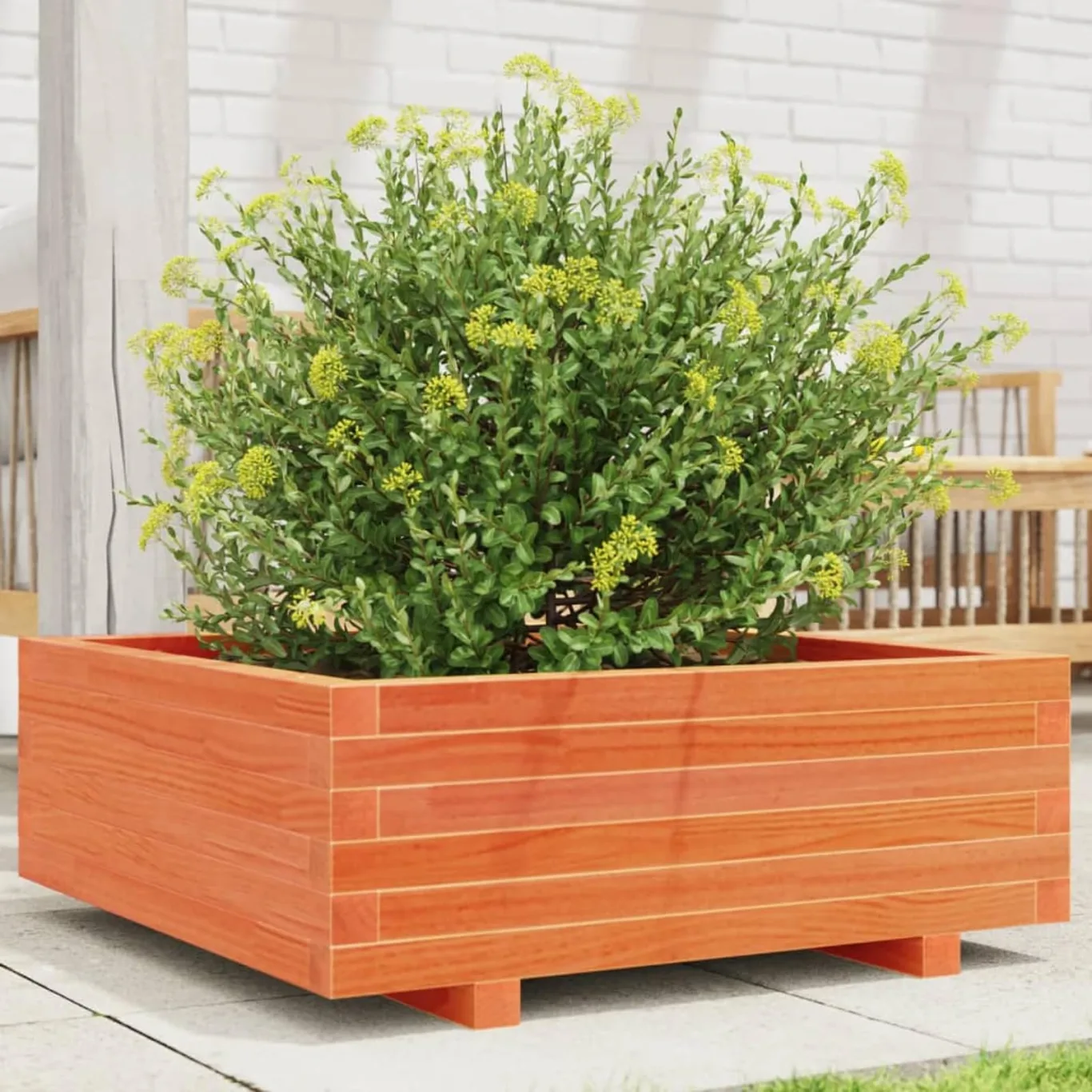 Pflanzkübel Wachsbraun massivholz Kiefer Robustes Gestell für Blumen und Pflanzen Garten Dekoration - Bild 1