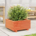 Gecheer Pflanzkübel Wachsbraun 50x50x26 5 cm Massivholz Kiefer großes Volumen für Pflanzen Gemüse und Kräuter im Garten - Thumbnail 4