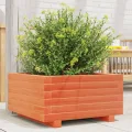 Gecheer Pflanzkübel Wachsbraun 50x50x26 5 cm Massivholz Kiefer großes Volumen für Pflanzen Gemüse und Kräuter im Garten - Thumbnail 1