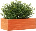 Gecheer Pflanzkübel Wachsbraun Massivholz Kiefer großzügig für Blumen und Pflanzen Garten Balkon Terrasse - Thumbnail 5