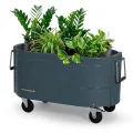 Permasteel selbstbewässerndes Gartenbeet, rollender Pflanztopf für Gemüse, Blumen, Kräuter und Obst, für drinnen und draußen, mit Rädern, Rosa - Thumbnail 10