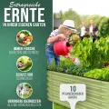 200x60x42 cm Hochbeet Metall I 6-in-1 Gartenbeet aus verzinktem Stahl I Pflanzbeet wetterfest & rostfrei I Ovales Gemüsebeet für Garten & Terasse I Hochbeet Bausatz ohne Boden (Salbei) - Thumbnail 5