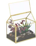 Relaxdays Pflanzenterrarium, Glas & Kupfer, HBT: 15x15x10 cm, Deko Glashaus Kakteen & Moos, Glaskasten Fensterbank, gold - Thumbnail 1