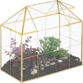 Relaxdays Pflanzenterrarium, Glas & Kupfer, HBT: 27x30x15 cm Deko Glashaus Kakteen & Moos, Glaskasten Fensterbank, gold - Thumbnail 1