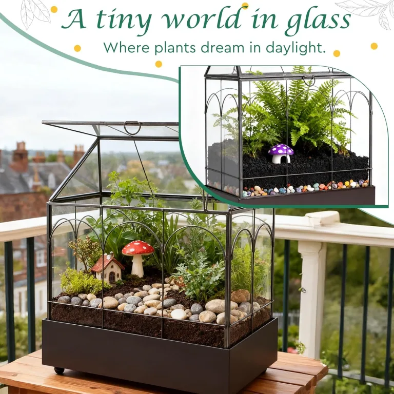 Mini Gewächshaus Fensterbank Glas mit Auffangschale 24,2 x 14,7 x 29 cm Pflanzenterrarium Klein Flaschengarten DIY (Keine Pflanzen enthalten) Deko für Sukkulenten, Kakteen – Bild 4
