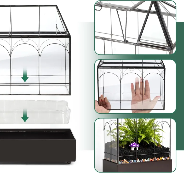 Mini Gewächshaus Fensterbank Glas mit Auffangschale 24,2 x 14,7 x 29 cm Pflanzenterrarium Klein Flaschengarten DIY (Keine Pflanzen enthalten) Deko für Sukkulenten, Kakteen – Bild 3