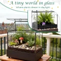 Mini Gewächshaus Fensterbank Glas mit Auffangschale 24,2 x 14,7 x 29 cm Pflanzenterrarium Klein Flaschengarten DIY (Keine Pflanzen enthalten) Deko für Sukkulenten, Kakteen - Thumbnail 4