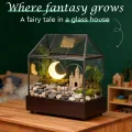 Mini Gewächshaus Fensterbank Glas mit Auffangschale 24,2 x 14,7 x 29 cm Pflanzenterrarium Klein Flaschengarten DIY (Keine Pflanzen enthalten) Deko für Sukkulenten, Kakteen - Thumbnail 5