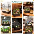 Mini Gewächshaus Fensterbank Glas mit Auffangschale 24,2 x 14,7 x 29 cm Pflanzenterrarium Klein Flaschengarten DIY (Keine Pflanzen enthalten) Deko für Sukkulenten, Kakteen - Thumbnail 7