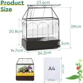Mini Gewächshaus Fensterbank Glas mit Auffangschale 24,2 x 14,7 x 29 cm Pflanzenterrarium Klein Flaschengarten DIY (Keine Pflanzen enthalten) Deko für Sukkulenten, Kakteen - Thumbnail 2