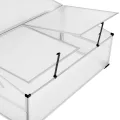 tectake® Frühbeet, Frühbeetaufsatz, Frühbeetkasten, Anzuchtkasten für Hochbeet, Blumenkasten, Anzucht Gewächshaus, Hochbeet Abdeckung, Pflanzkasten Minigewächshaus - 102 x 102 x 41 / 31 cm - Thumbnail 4