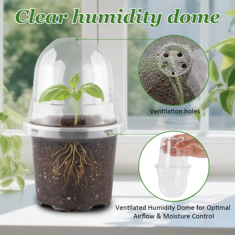 RooTrimmer 60 transparente Pflanztöpfe mit Feuchtigkeitskuppeln, 10,2 cm, Kunststoff-Pflanztöpfe mit Drainagelöchern für Setzlinge, transparenter Samen-Starttopf für Stecklinge, Anzucht – Bild 2
