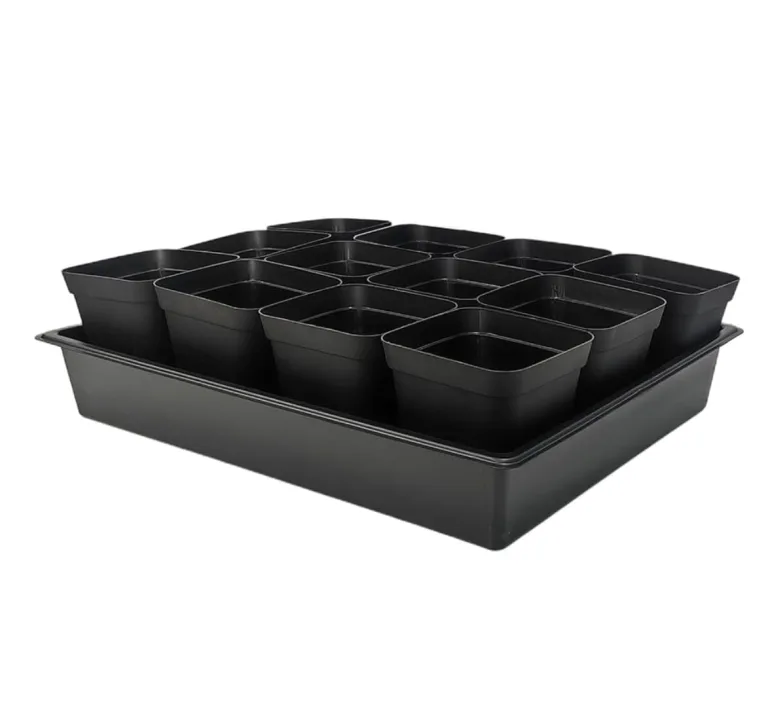 RooTrimmer 60 transparente Pflanztöpfe mit Feuchtigkeitskuppeln, 10,2 cm, Kunststoff-Pflanztöpfe mit Drainagelöchern für Setzlinge, transparenter Samen-Starttopf für Stecklinge, Anzucht – Bild 9