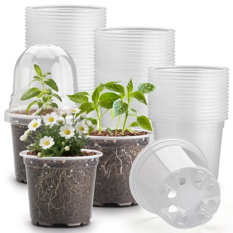 RooTrimmer 60 transparente Pflanztöpfe mit Feuchtigkeitskuppeln, 10,2 cm, Kunststoff-Pflanztöpfe mit Drainagelöchern für Setzlinge, transparenter Samen-Starttopf für Stecklinge, Anzucht – Bild 1