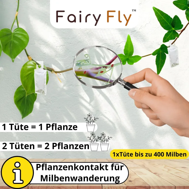 Raubmilben Mix gegen Thripse & Spinnmilben – 2 Tüten (1 x Cucumeris + 1 x Californicus) – Nützlinge für Zimmerpflanzen & Gewächshaus – biologisch & chemiefrei – Bild 5