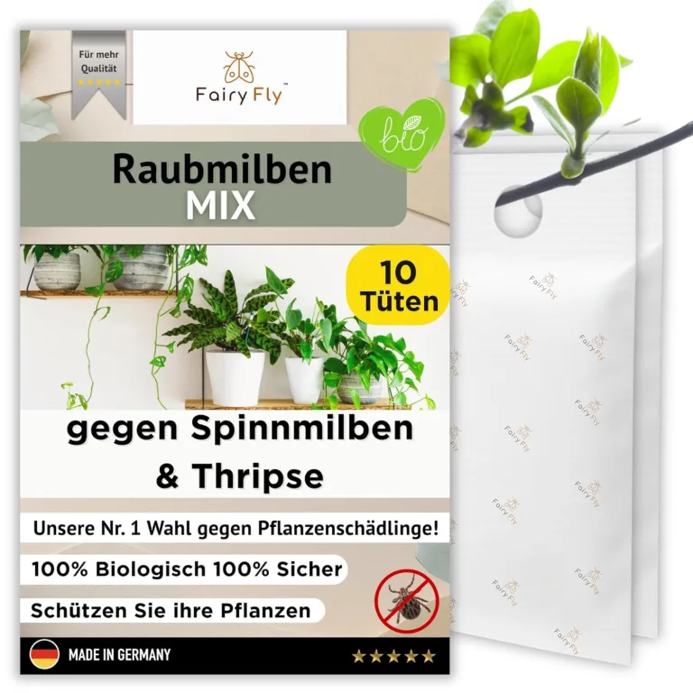Raubmilben Mix gegen Thripse & Spinnmilben – 30 Tüten (15 x Cucumeris + 15 x Californicus) – Nützlinge für Zimmerpflanzen & Gewächshaus – biologisch & chemiefrei – Bild 8