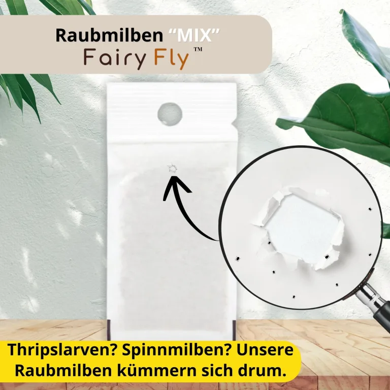 Raubmilben Mix gegen Thripse & Spinnmilben – 50 Tüten (25 x Cucumeris + 25 x Californicus) – Nützlinge für Zimmerpflanzen & Gewächshaus – biologisch & chemiefrei – Bild 2