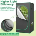 Aufun Grow Zelt für Pflanzen Zuchtzelt Gewächshaus Box Zuchtschrank Anzucht Gemüse Kräuter Grow Schrank, Indoor Anbauzelt, Growroom für Blumen klein Tomaten Hydro Green, Größe:240x120x200cm - Thumbnail 4