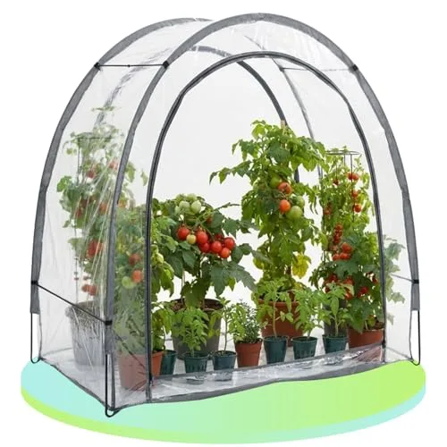 Ideoon 2er-Set Robustes Foliengewächshaus und Überwinterungszelt, 175x186x84 cm: EIN Pflanzenschutz für optimale Ernte & frostfreie Pflege (Modell 2026) – Bild 10