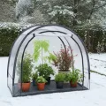 Ideoon 2er-Set Robustes Foliengewächshaus und Überwinterungszelt, 175x186x84 cm: EIN Pflanzenschutz für optimale Ernte & frostfreie Pflege (Modell 2026) - Thumbnail 2