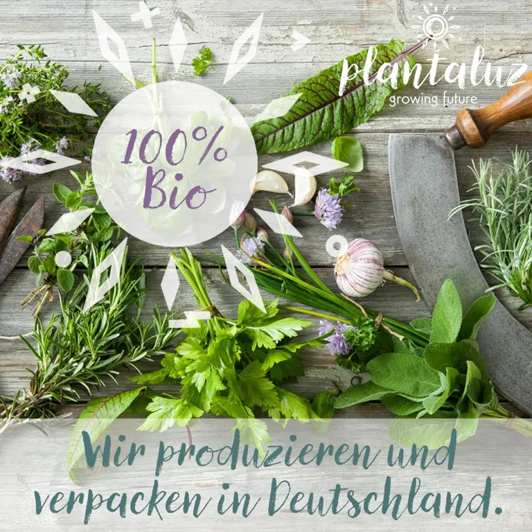 Plantaluz Bio Premium Saatgut Set P01 – 10 Sorten Tomaten & Kräuter Anzuchtset für Garten, Balkon & Indoor – inkl. FSC-Pflanzstäbchen – samenfestes, ungebeiztes & gentechnikfreies Saatgut – Bild 8