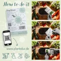 Plantaluz Bio Premium Saatgut Set P01 – 10 Sorten Tomaten & Kräuter Anzuchtset für Garten, Balkon & Indoor – inkl. FSC-Pflanzstäbchen – samenfestes, ungebeiztes & gentechnikfreies Saatgut - Thumbnail 7