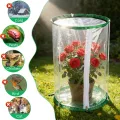 3 x Gewächshaus Klein 55cm x 30cm PVC Treibhaus Pflanzenschutz Schädlingsbekämpfung Portable mit 18 Erdanker für Kübelpflanzen Topfpflanzen - Thumbnail 4