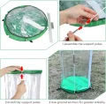 3 x Gewächshaus Klein 55cm x 30cm PVC Treibhaus Pflanzenschutz Schädlingsbekämpfung Portable mit 18 Erdanker für Kübelpflanzen Topfpflanzen - Thumbnail 5