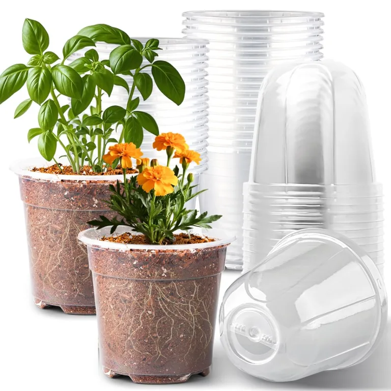RooTrimmer Transparente Pflanztöpfe mit Feuchtigkeitskuppel, 15,2 cm, 30 Stück, wiederverwendbarer Samen-Startertopf mit Drainagelöchern, transparenter Kunststoff-Pflanzentöpfe für Anzucht – Bild 1