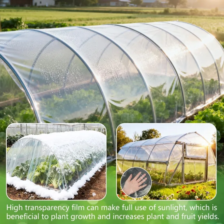 Transparent Gewächshausfolie, 2 x 10M Folie für Gewächshaus Winterfest Extra Dick Reißfest Polyethylen Gartenfolie, Plastikfoliefür Folientunnel für Gartenarbeit Tomatenhaus Treibhaus – Bild 8