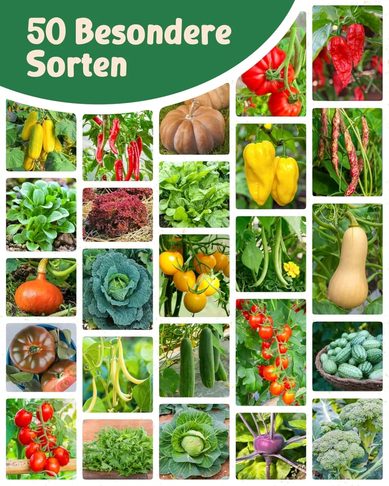 Bio Gemüsesamen im 50er Set - 50 Gemüse Samen für den einfachen Anbau im Garten, Balkon oder Hochbeet - Pflanzensamen - Saatgut – Bild 8