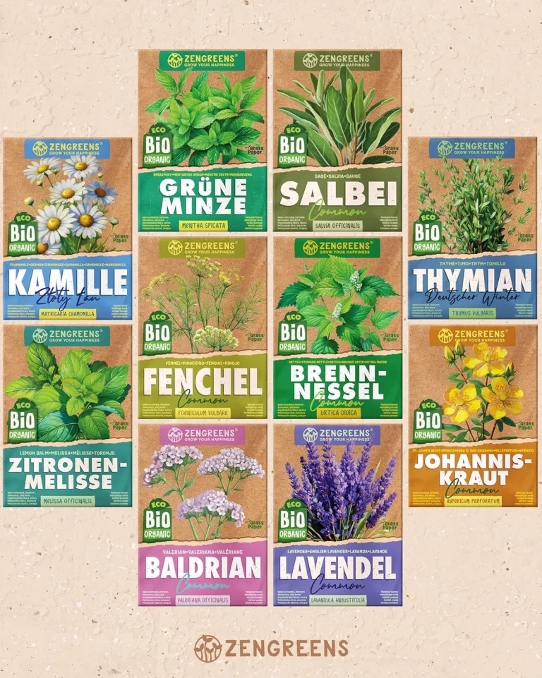 Bio Heil- und Teekräutersamen im 10er Set - 10 Heil- und Tee Kräuter Samen für den einfachen Anbau im Garten, Balkon oder Hochbeet - Pflanzensamen - Saatgut – Bild 7