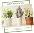 NOLITOY 50 Stück Wetterfeste Holz Pflanzenschilder Stecketiketten zum Beschriften für Garten Blumen Gemüse Kräuter Geeignet für Töpfe Beete Gewächshaus und Außenbereiche - Thumbnail 4