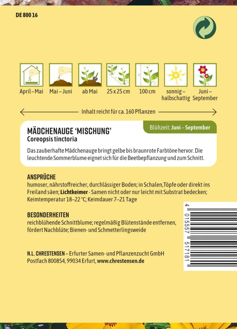 Chrestensen Eissalat Great Lakes 118 Samen, Knackiger Kopfsalat, Hitzebeständig, Vitaminreich, Für Sommeranbau – Bild 7