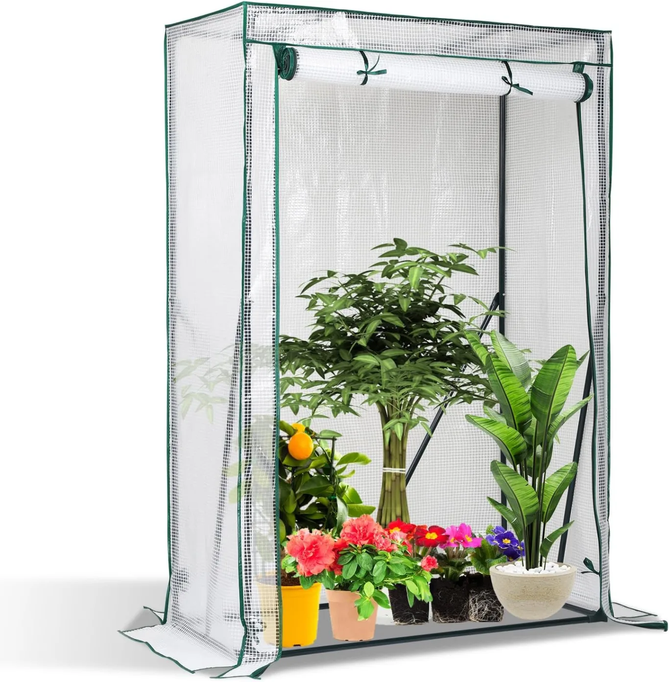 Gewächshaus, 100*50*150 cm Überwinterungszelt für Pflanzen, Foliengewächshaus mit Gitternetzfolie, Hochbeet mit Abdeckung, Anzuchthaus für Tomaten, Gemüse, Obst, Blumen, Garten, Balkon, Weiß - Bild 1