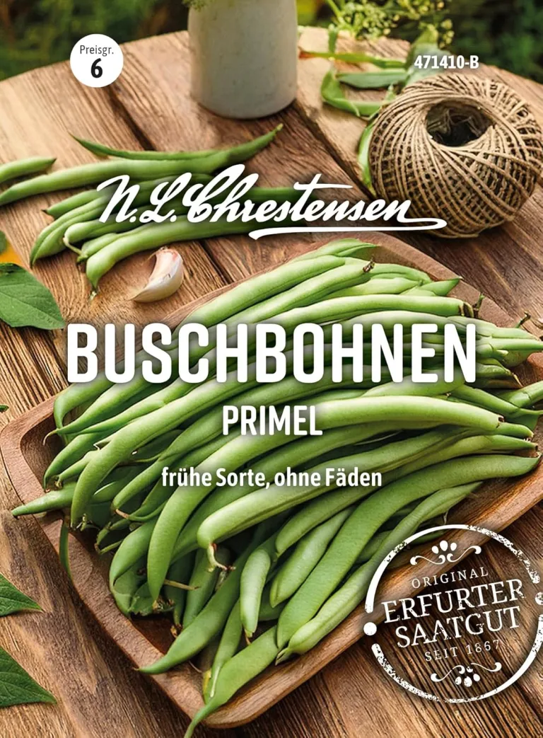 Chrestensen Saatgut Dill Annette – Bild 13
