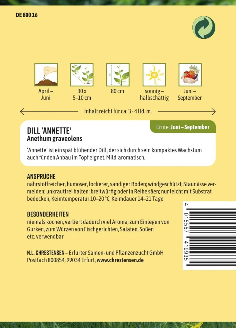Chrestensen Saatgut Dill Annette – Bild 3