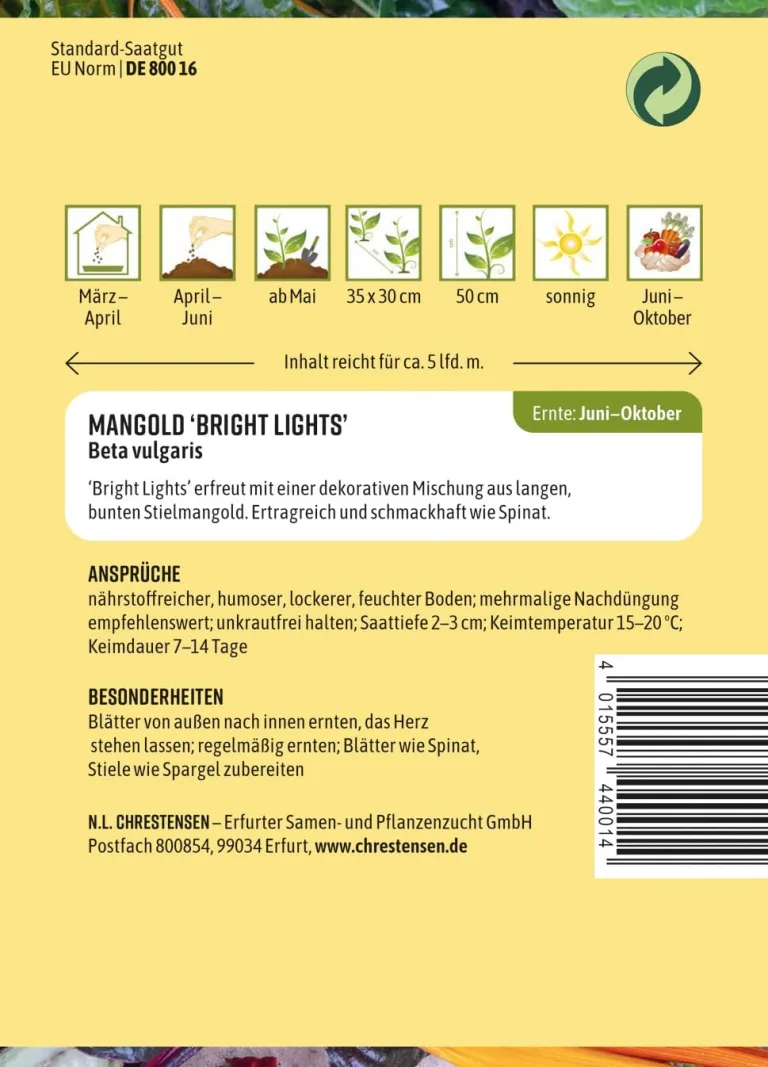 Chrestensen Mangold Bright Lights F1 Samen - Bunte Farbmischung Grün Rot Gelb - Blätter wie Spinat Stiele wie Spargel - Für Garten Beet - Beta vulgaris – Bild 3