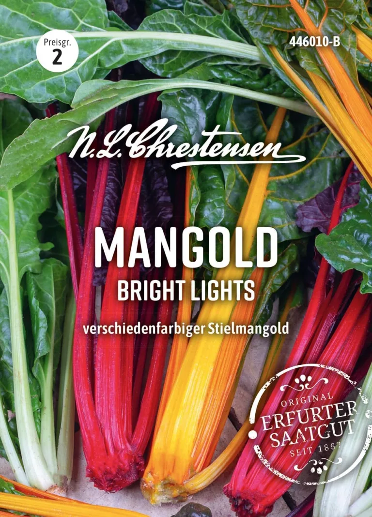 Chrestensen Mangold Bright Lights F1 Samen - Bunte Farbmischung Grün Rot Gelb - Blätter wie Spinat Stiele wie Spargel - Für Garten Beet - Beta vulgaris – Bild 1