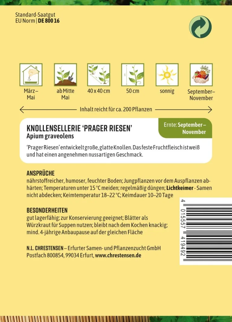 Chrestensen Saatgut Knollensellerie Prager Riesen – Bild 3