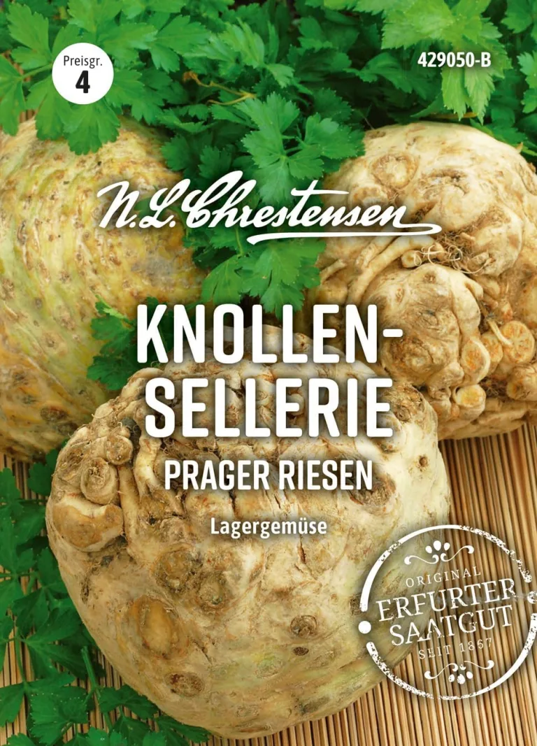Chrestensen Saatgut Knollensellerie Prager Riesen – Bild 1