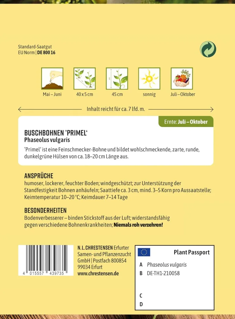 Chrestensen Saatgut Buschbohnen Primel – Bild 2